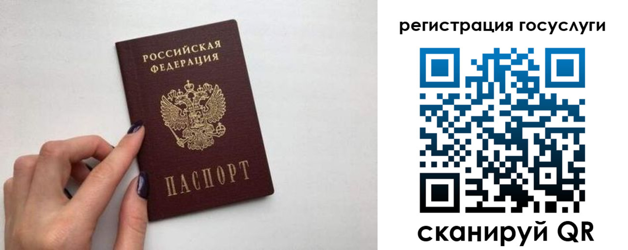 временная регистрация гарантия в Мамадыше